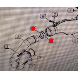 O-ring Scarico VERTIGO